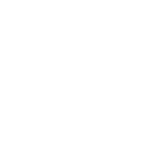 FOX News logo